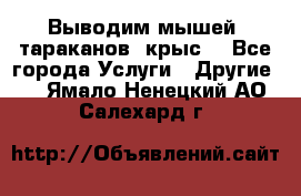 Выводим мышей ,тараканов, крыс. - Все города Услуги » Другие   . Ямало-Ненецкий АО,Салехард г.